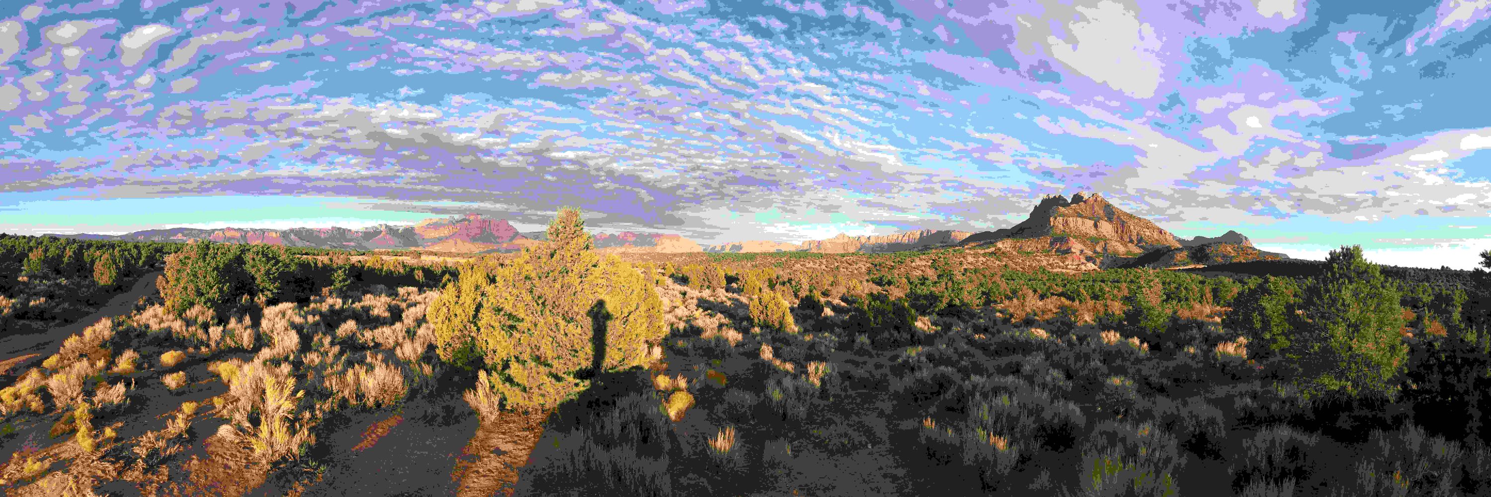 Spatial Informatics Group—Natural Assets Laboratory