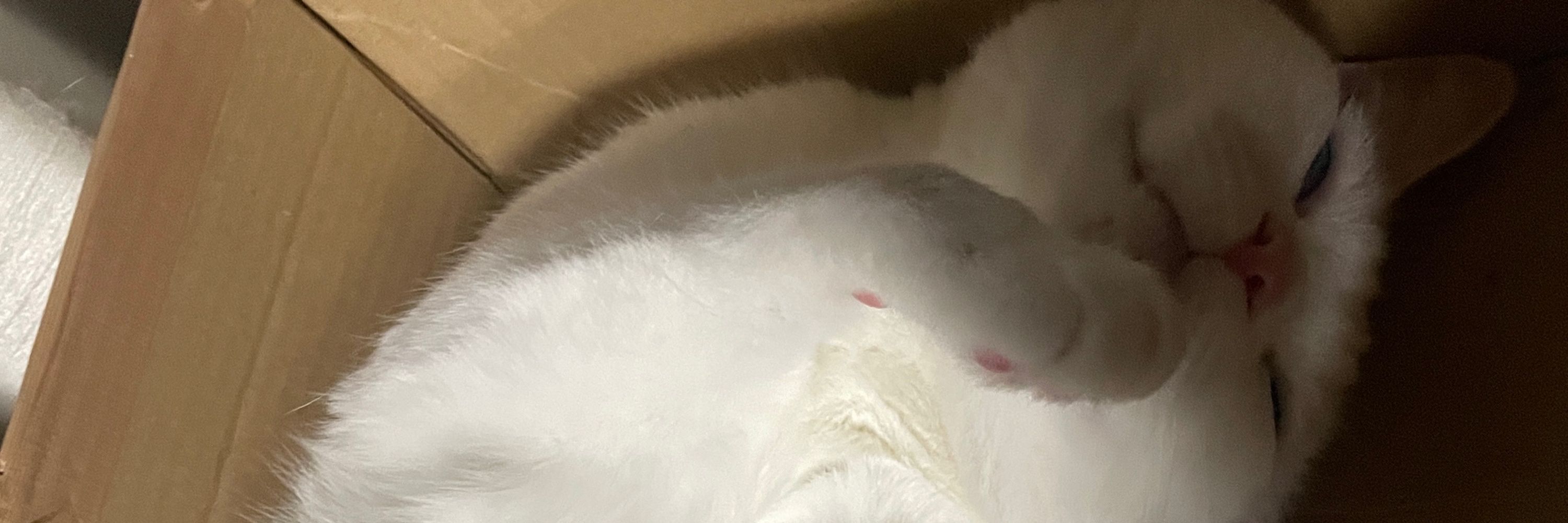 びん