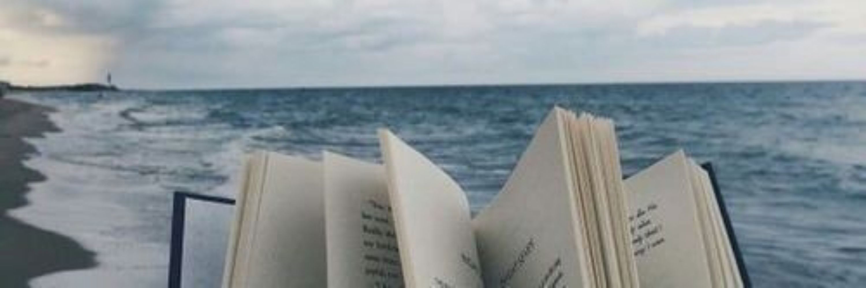 lele 📖