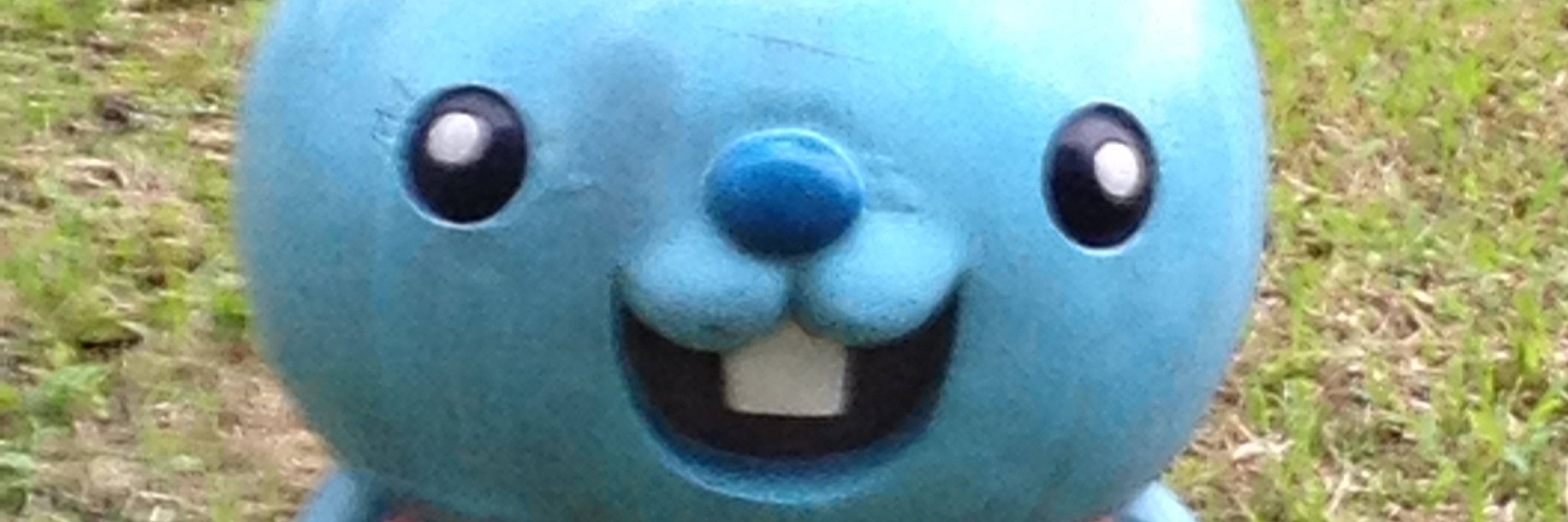 ながくし