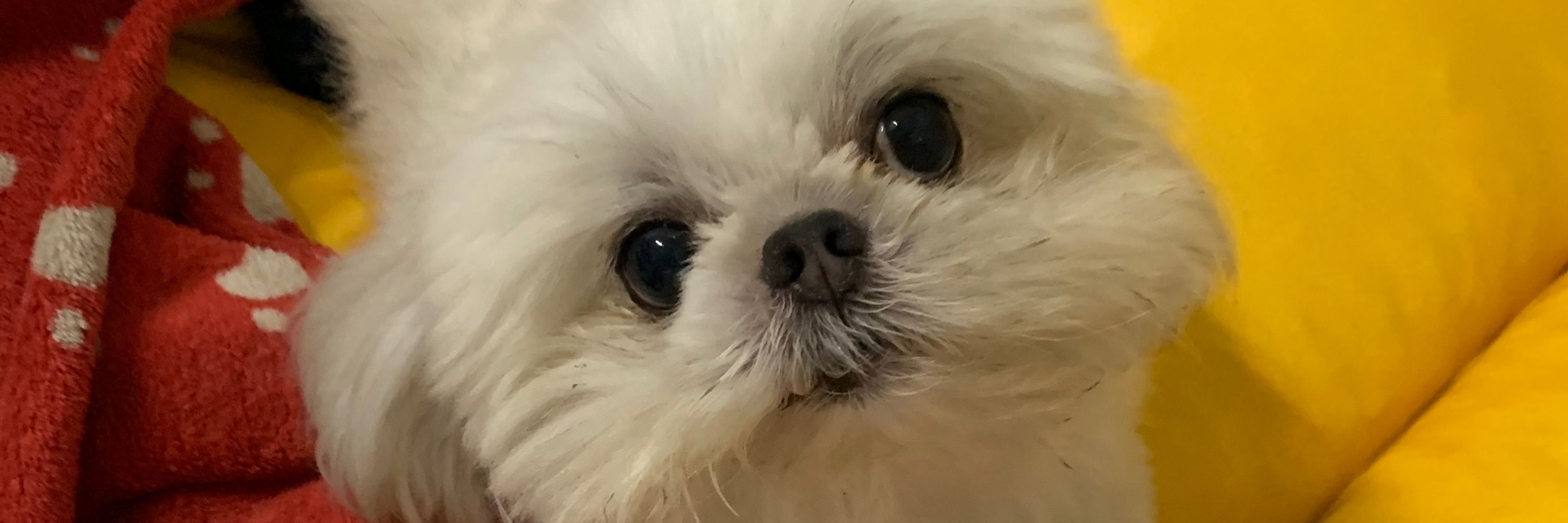 leeeeeeeeeeeee