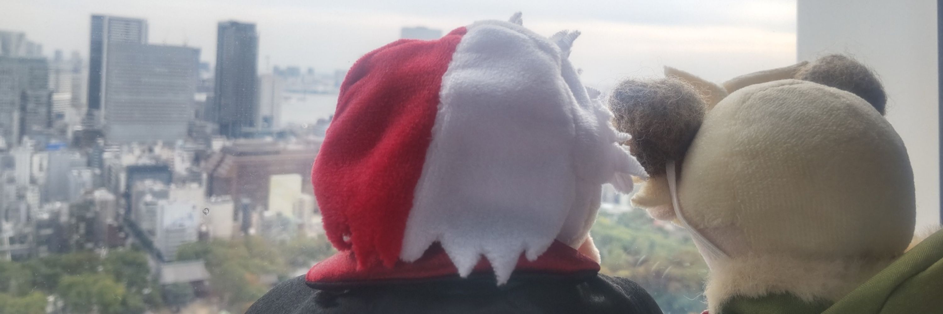 説