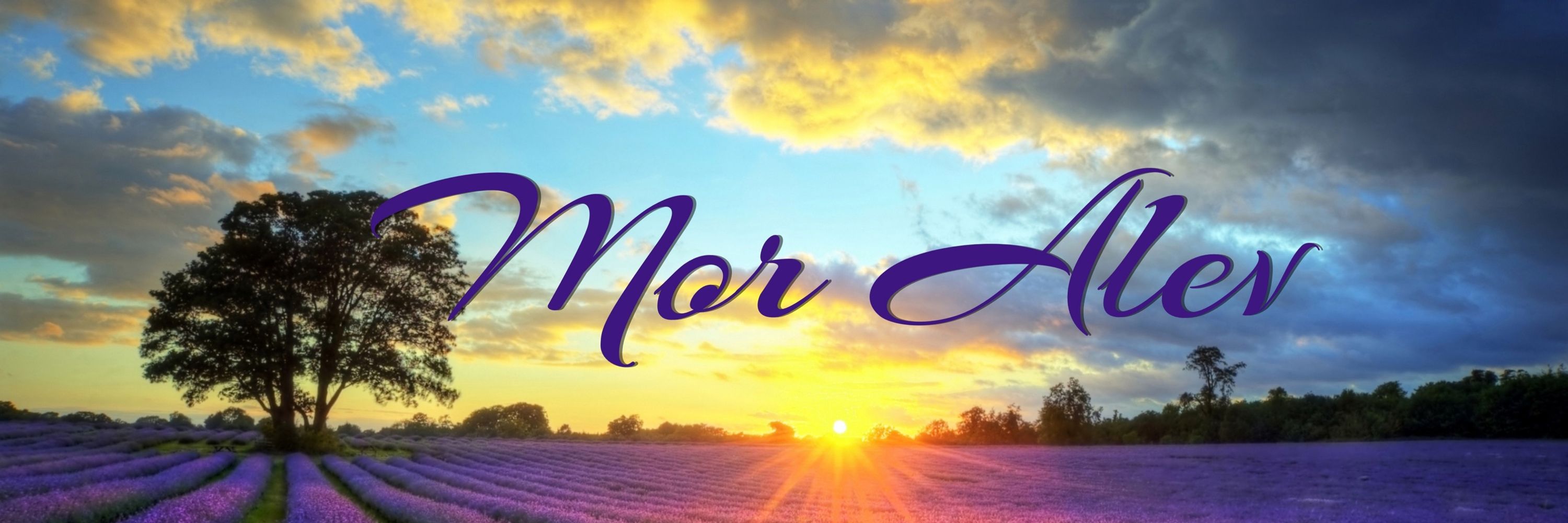 Mor Alev