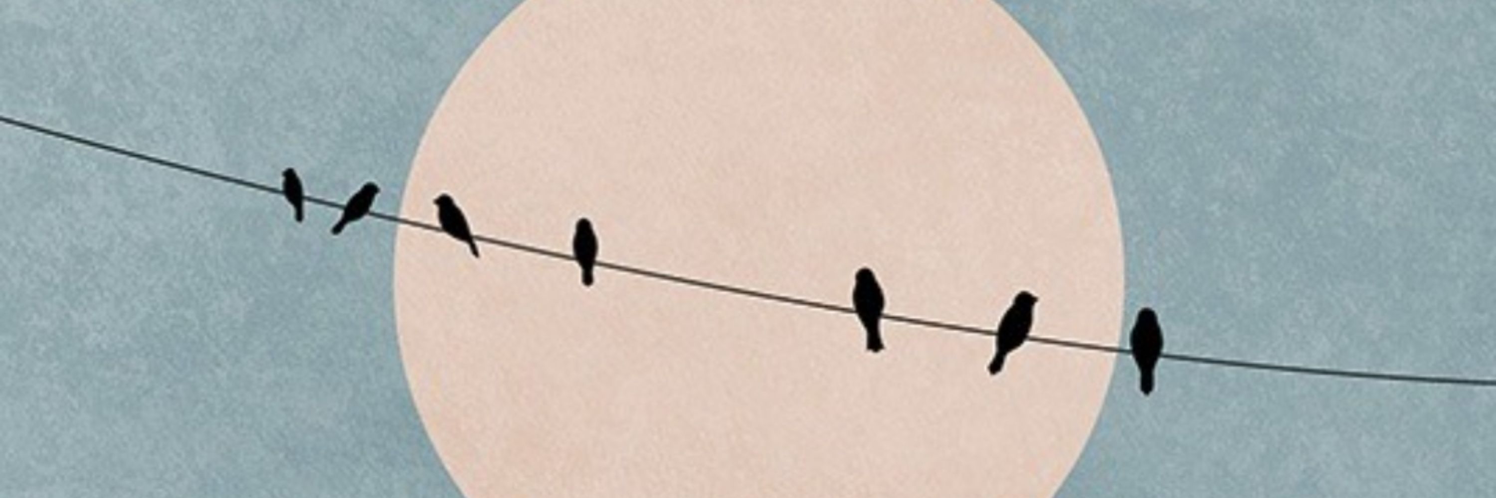 K. Reker
