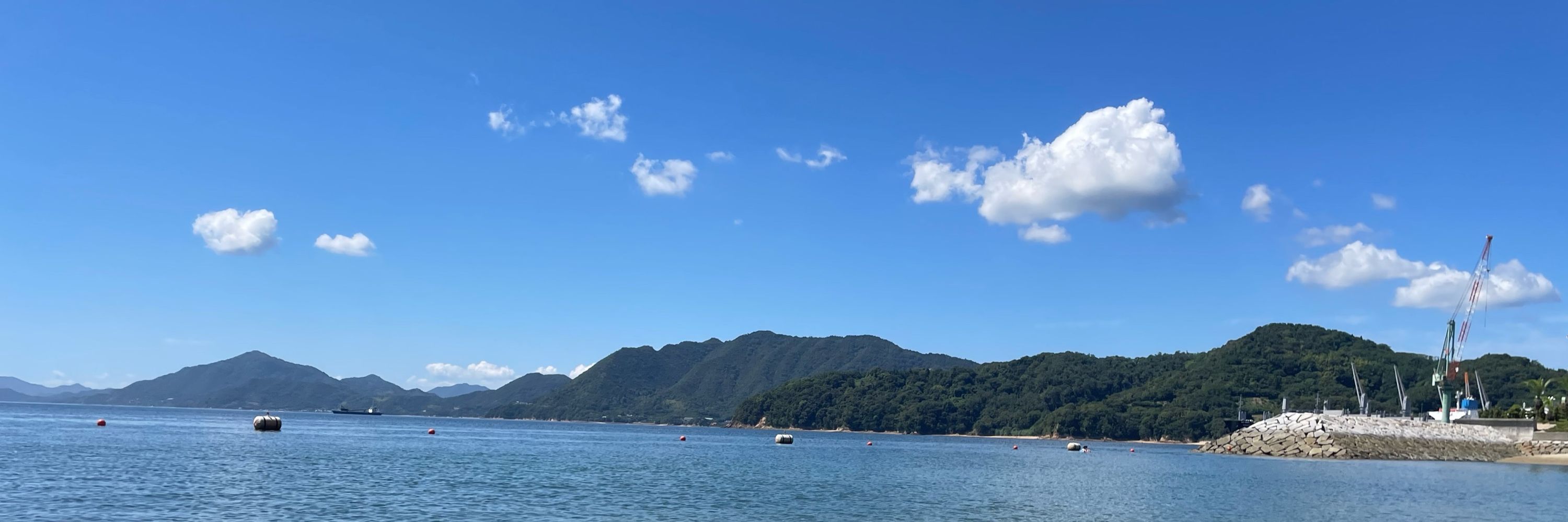 まーこ(日差しが眩しい)