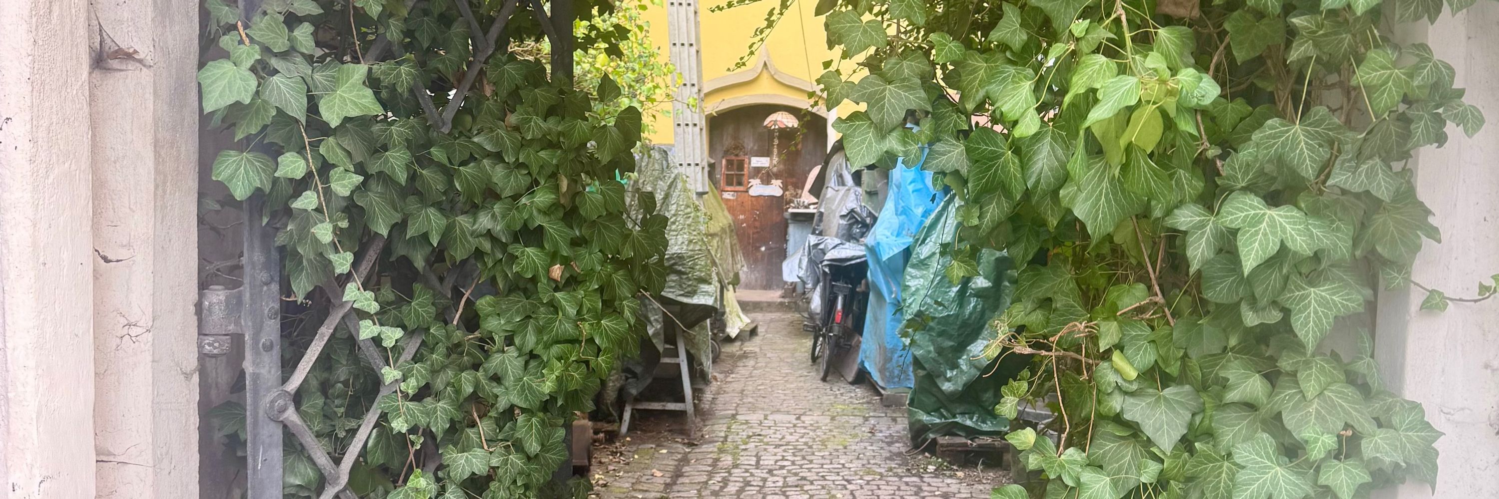 Turbo Garden