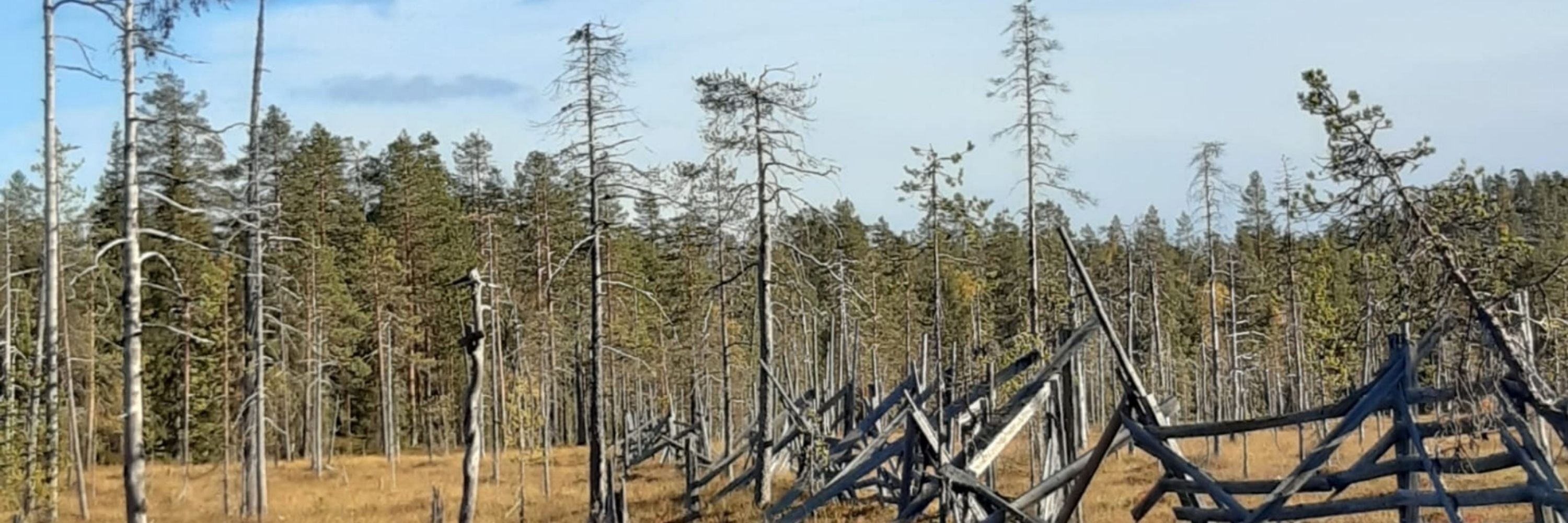 Kirsi Karttunen