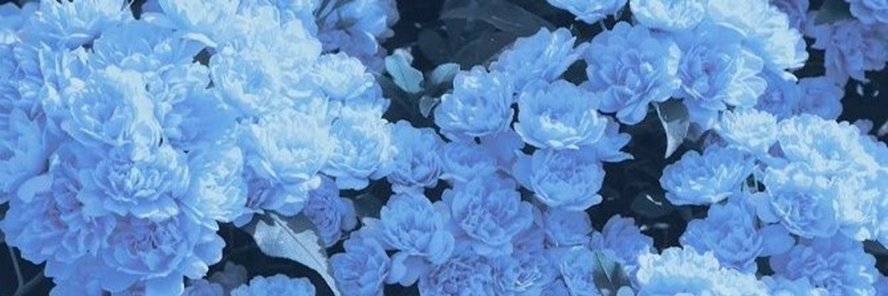가화