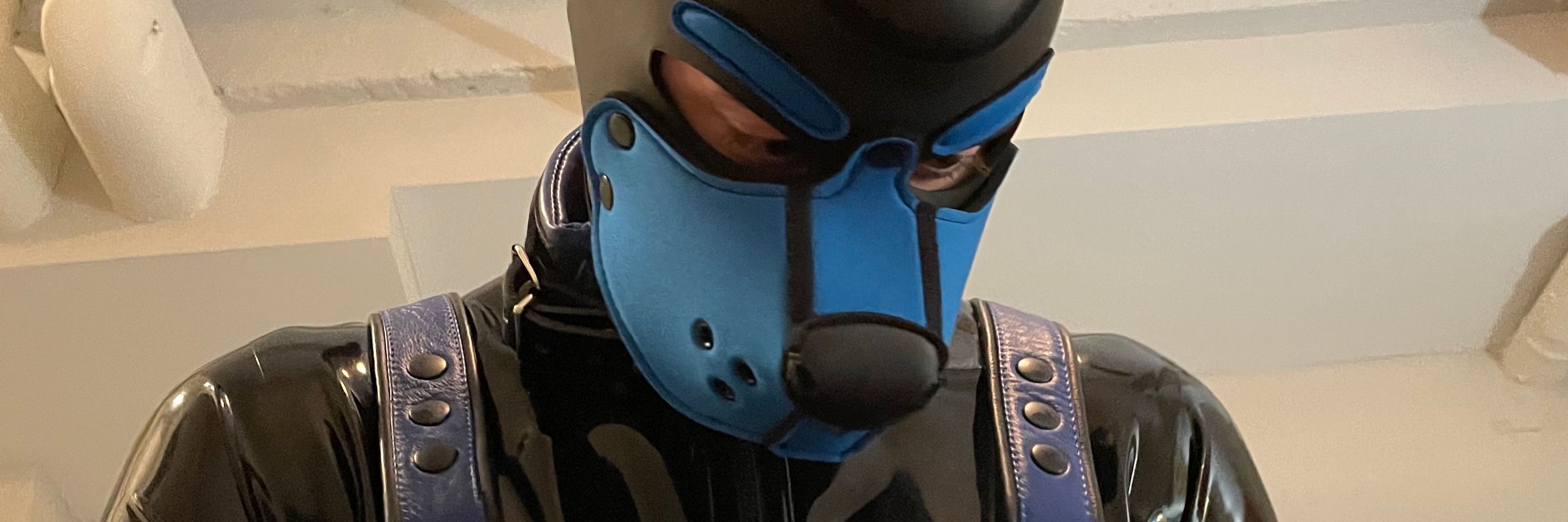 PupShadow