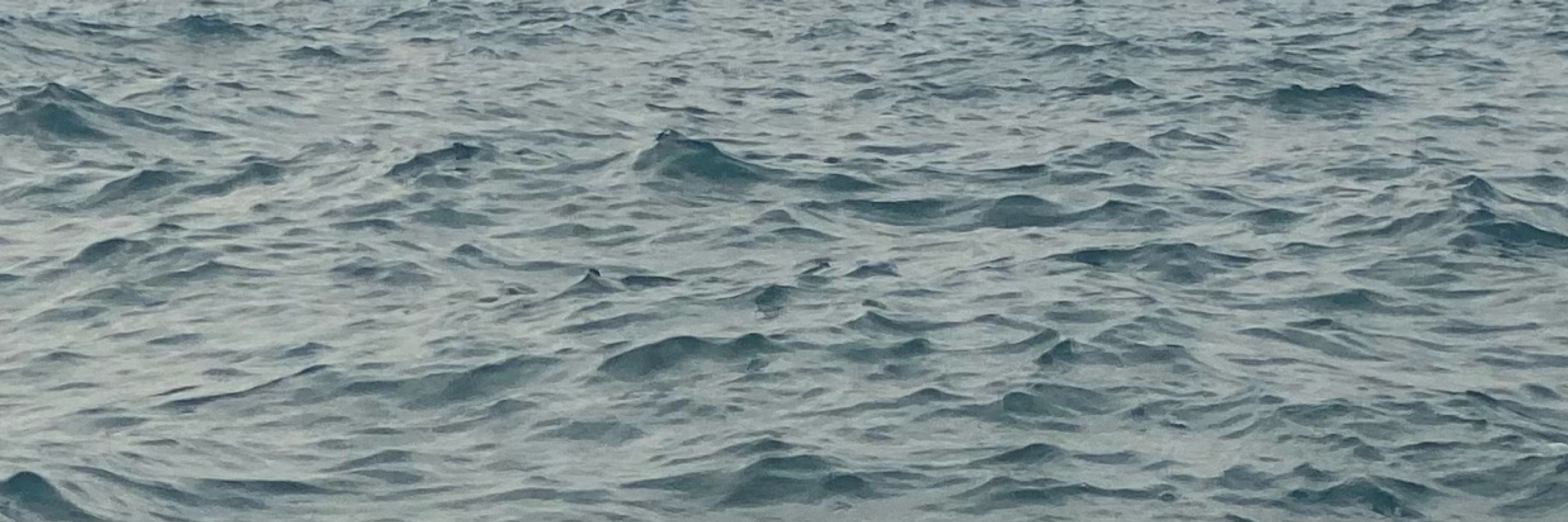 aquiloemchamas