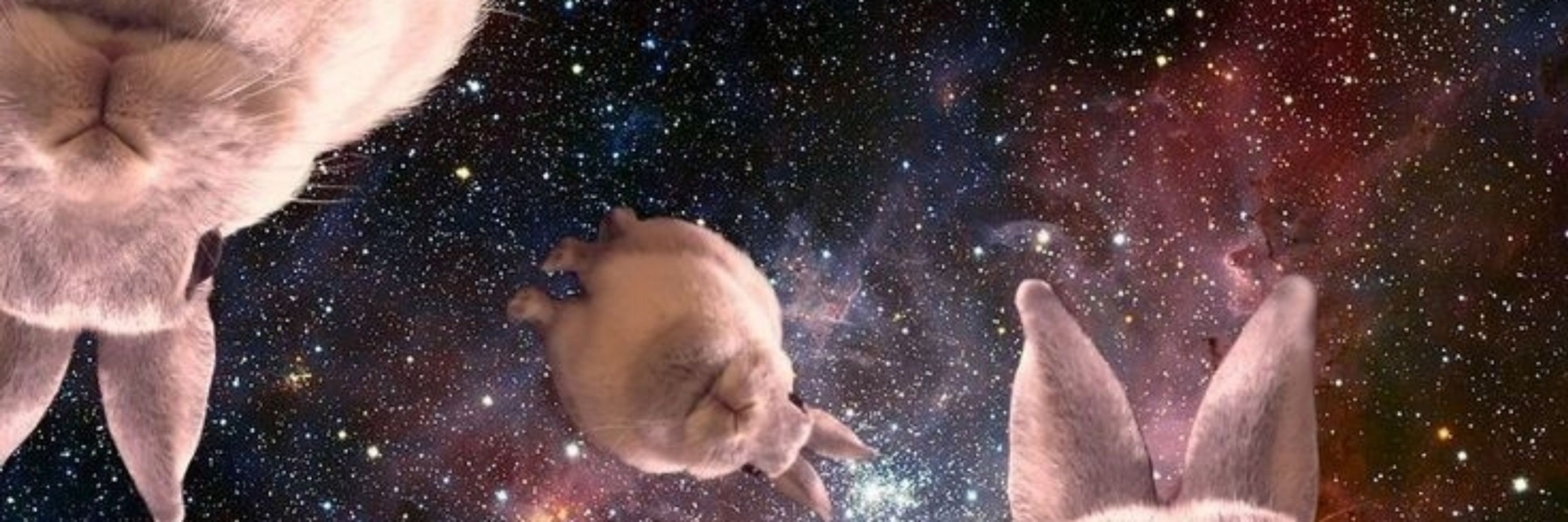 Moonstixy