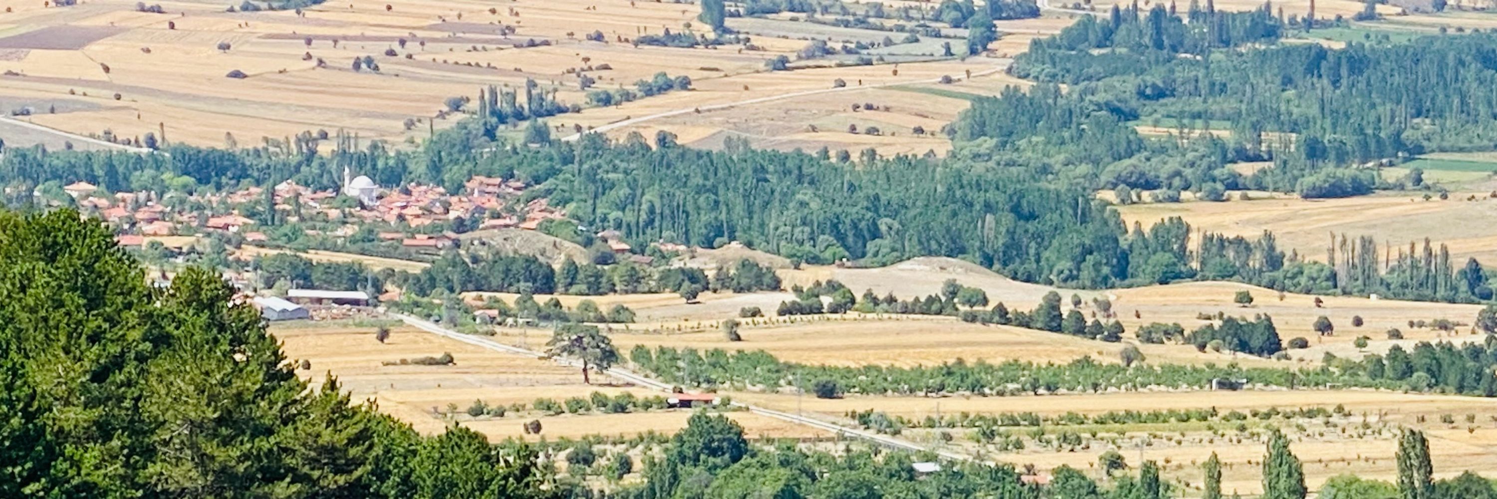 Şükrü Hatun