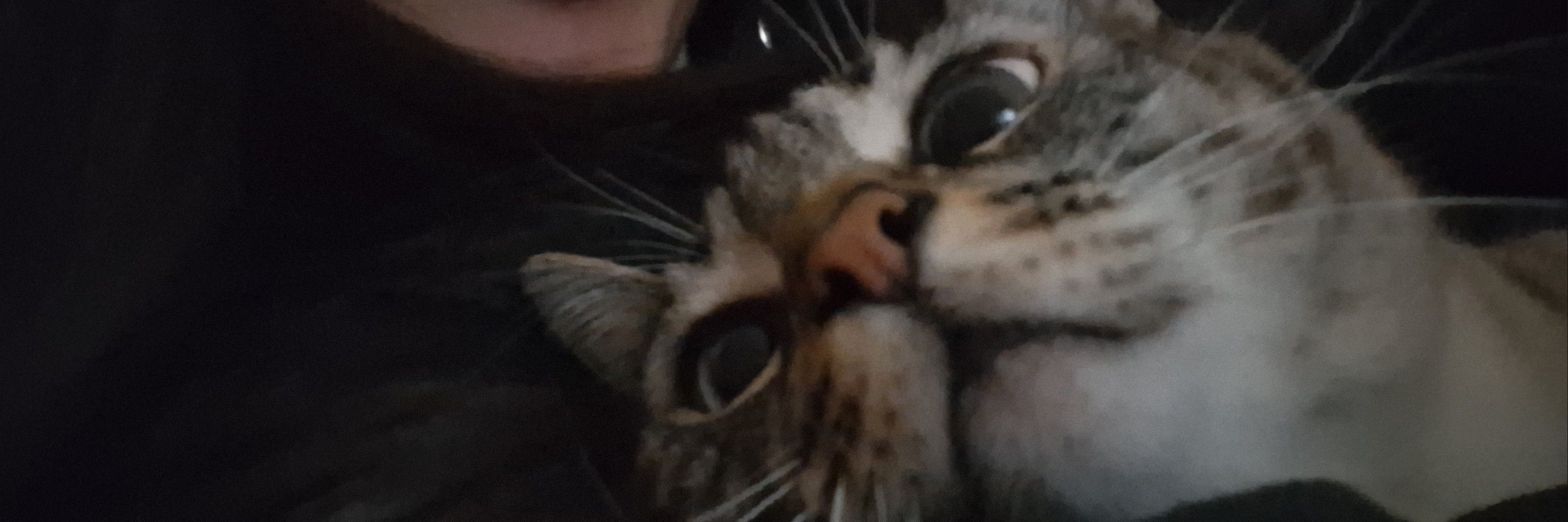𝗻𝘆'ˢᵖᶠᶜ