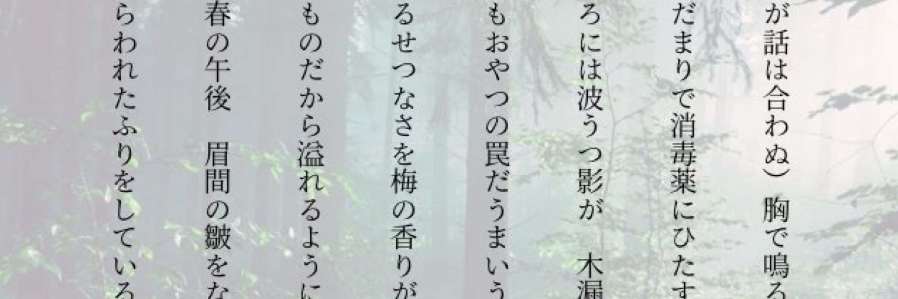 あやめ