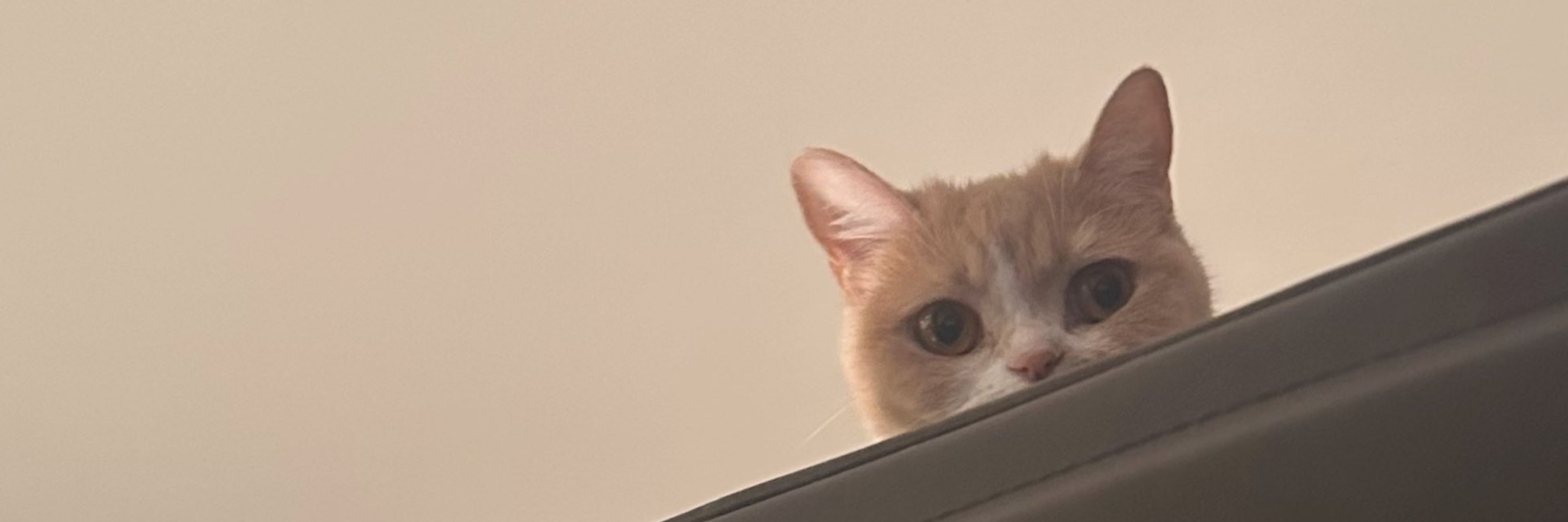 あゑお