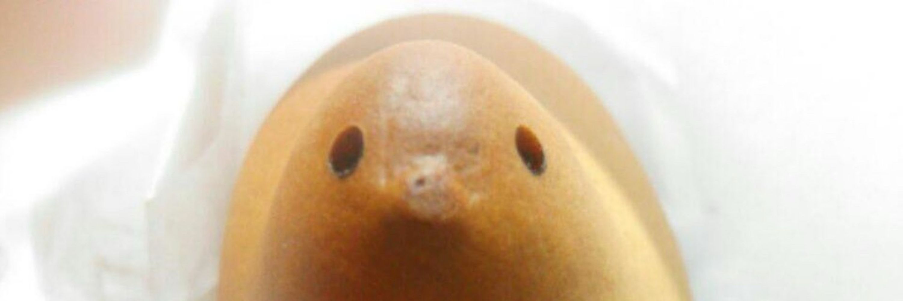 米たまご