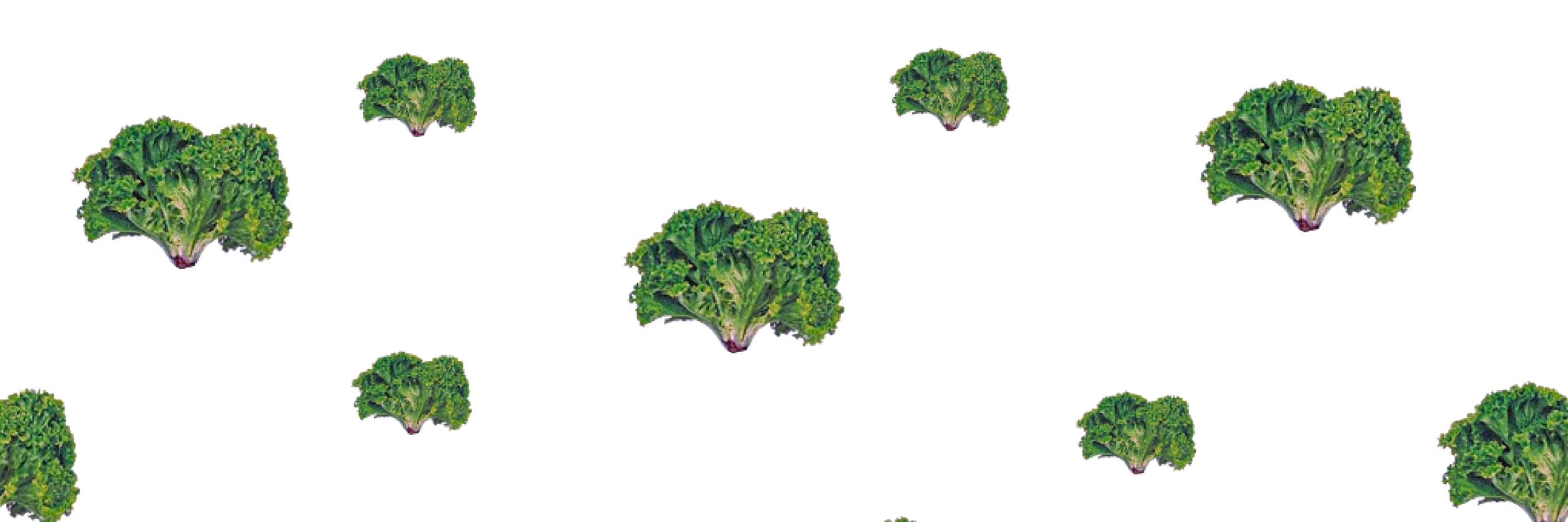 JEAN SALAD
