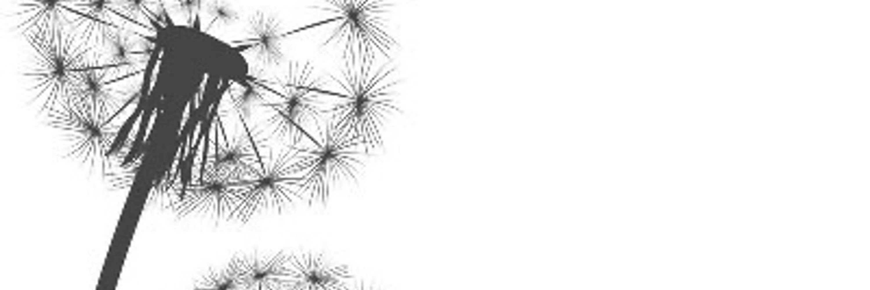 Nish Dandelion 🪶🇨🇦
