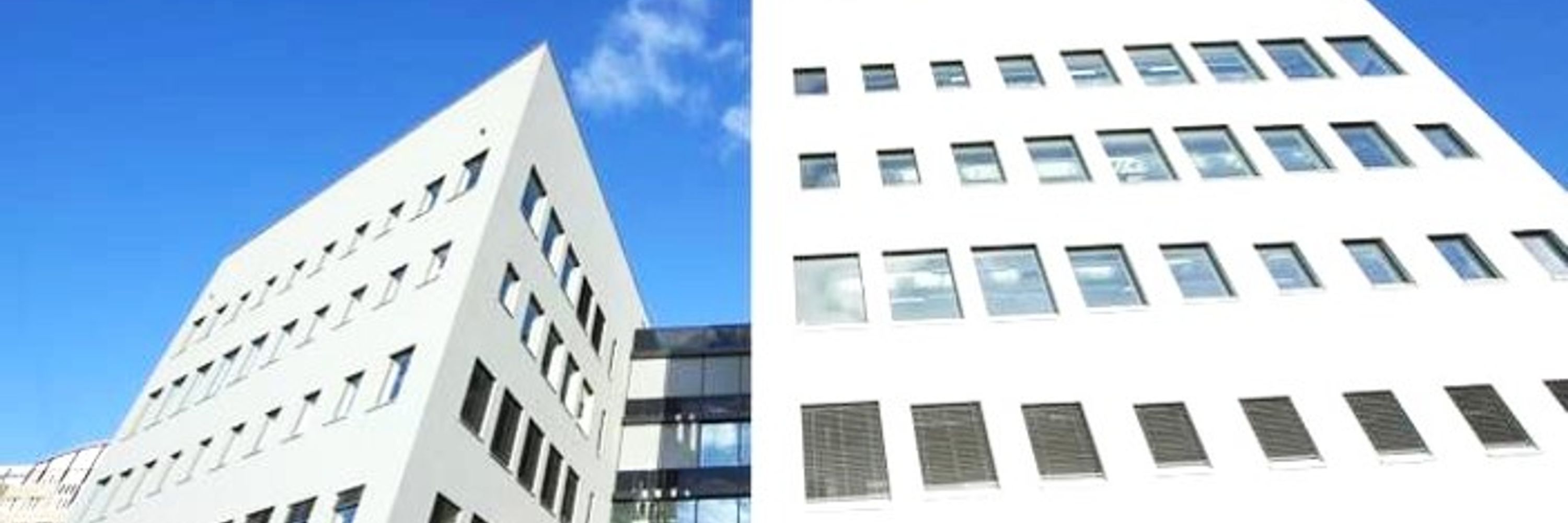 Neurology Mainz