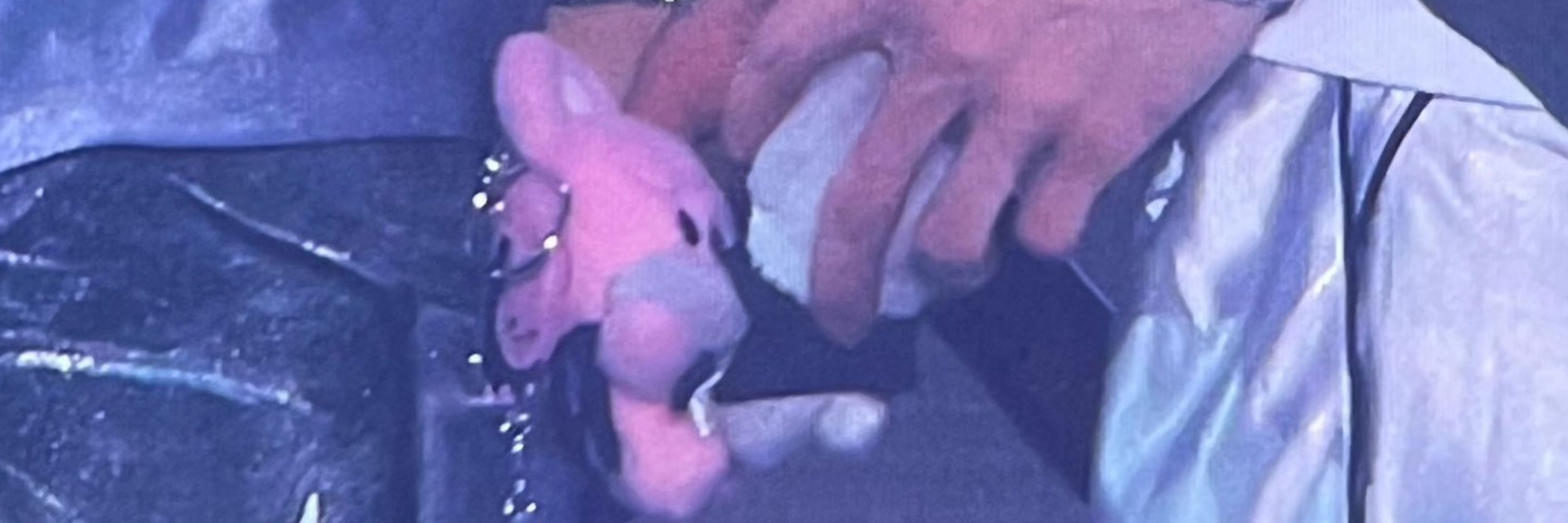 Pit🔞 (It/Its)