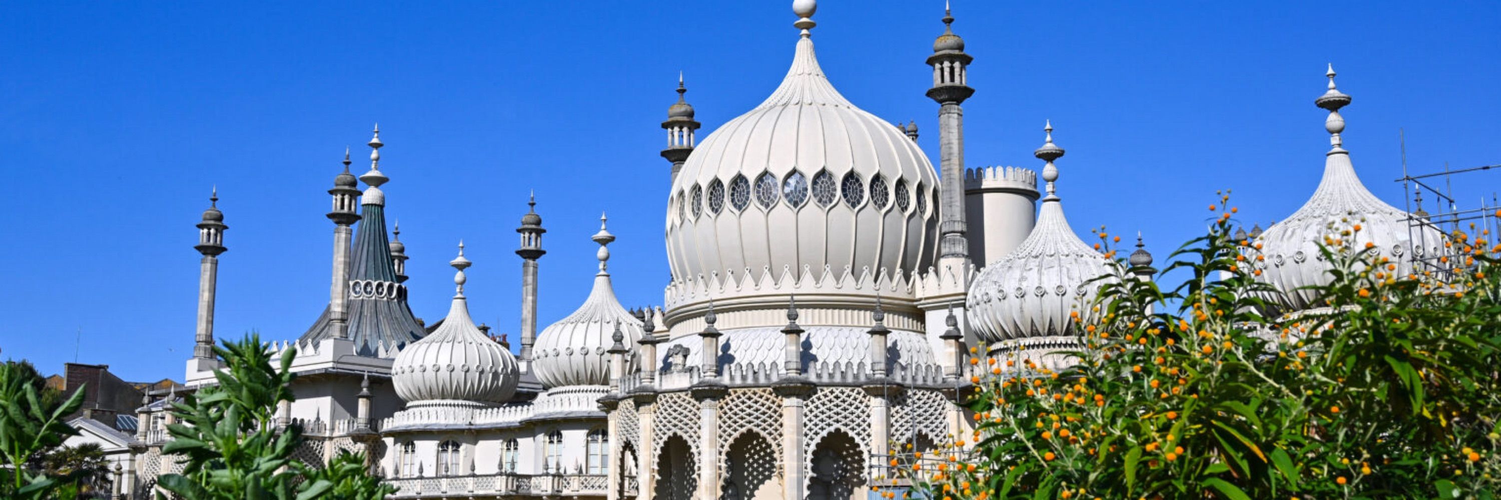 Bonny in Brighton