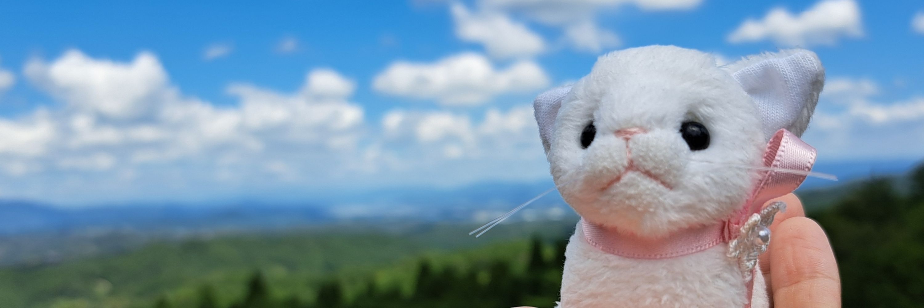ヤカン