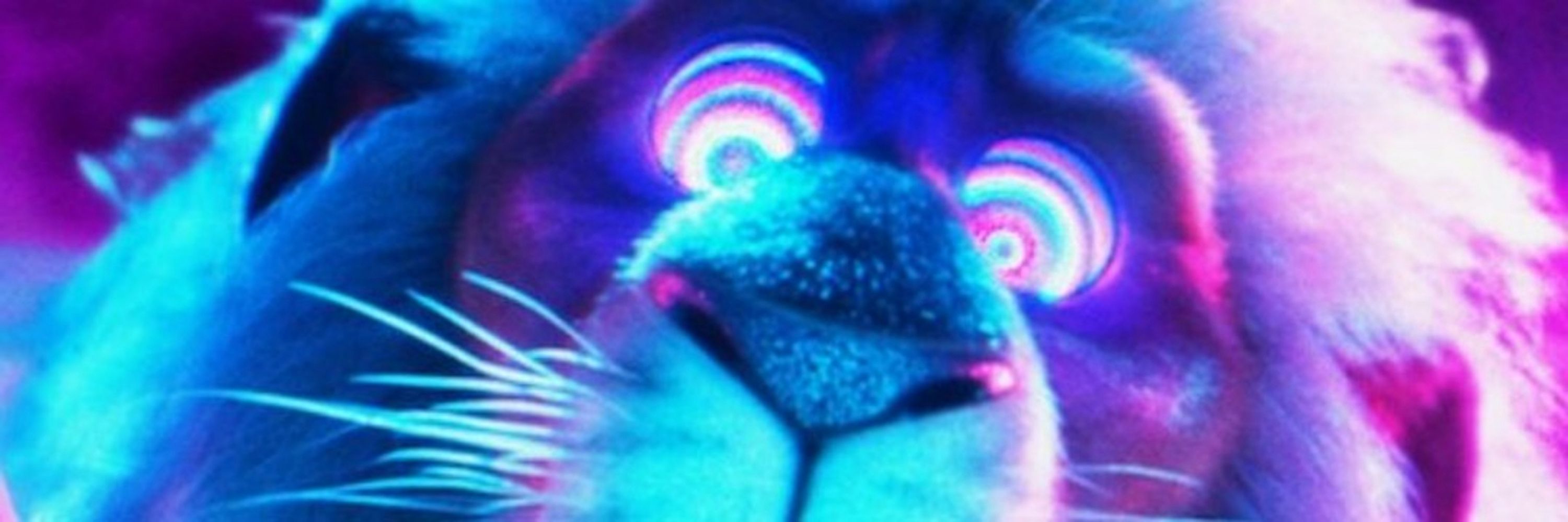 𝚐𝚛𝚊𝚑𝚊𝚖 🪖🏳️‍𝚞𝟸 𝚏𝚊𝚗