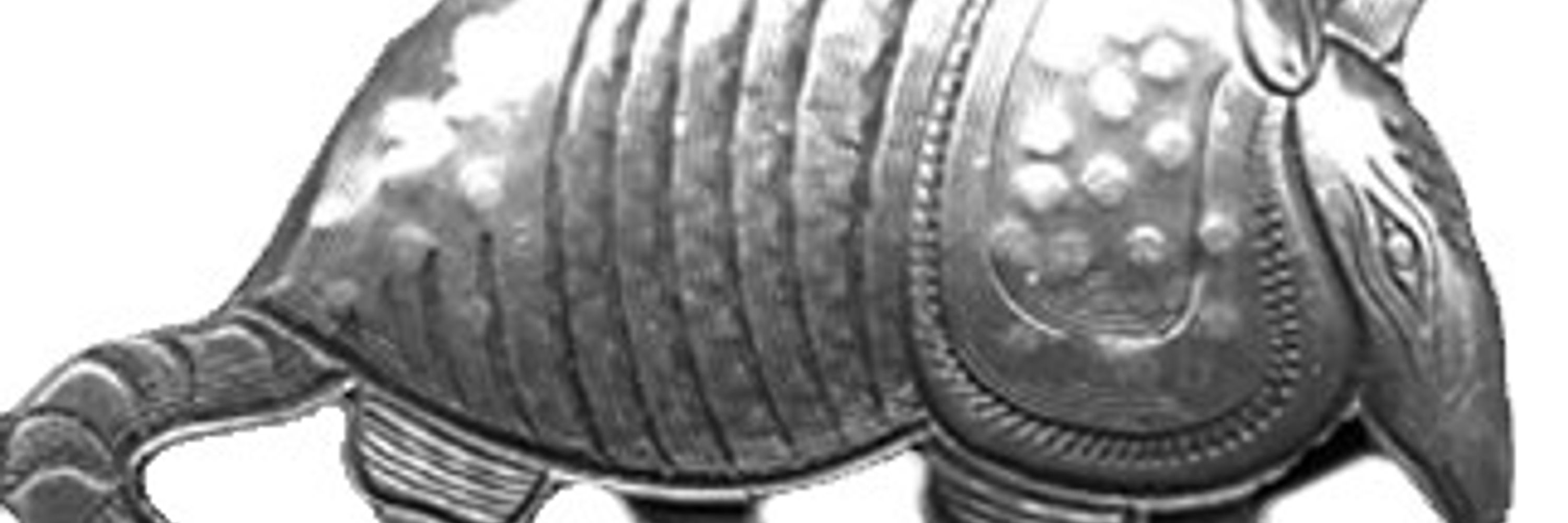 armadillosoft