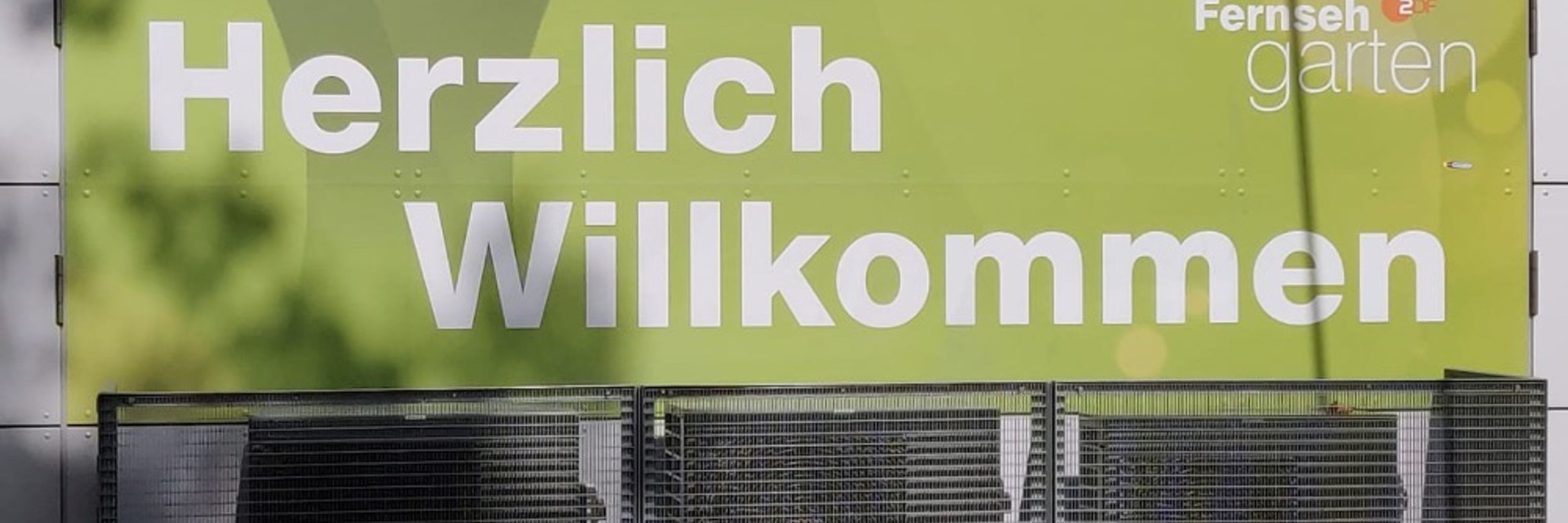 ich heiße viola