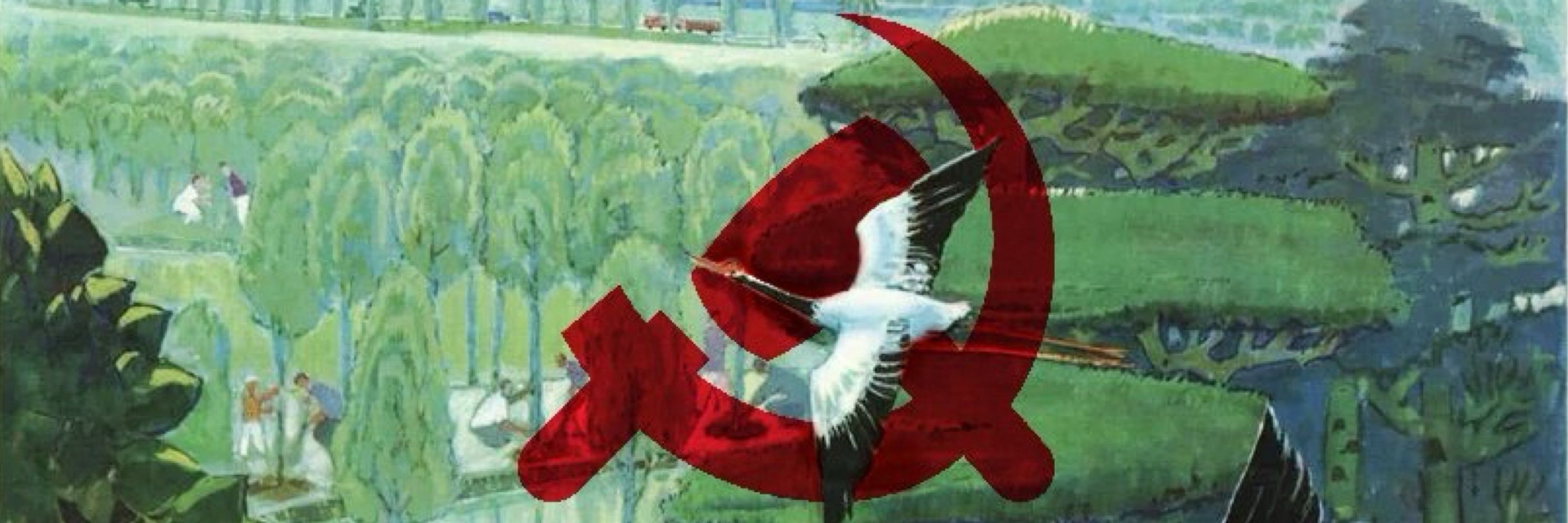 Warren Zedong