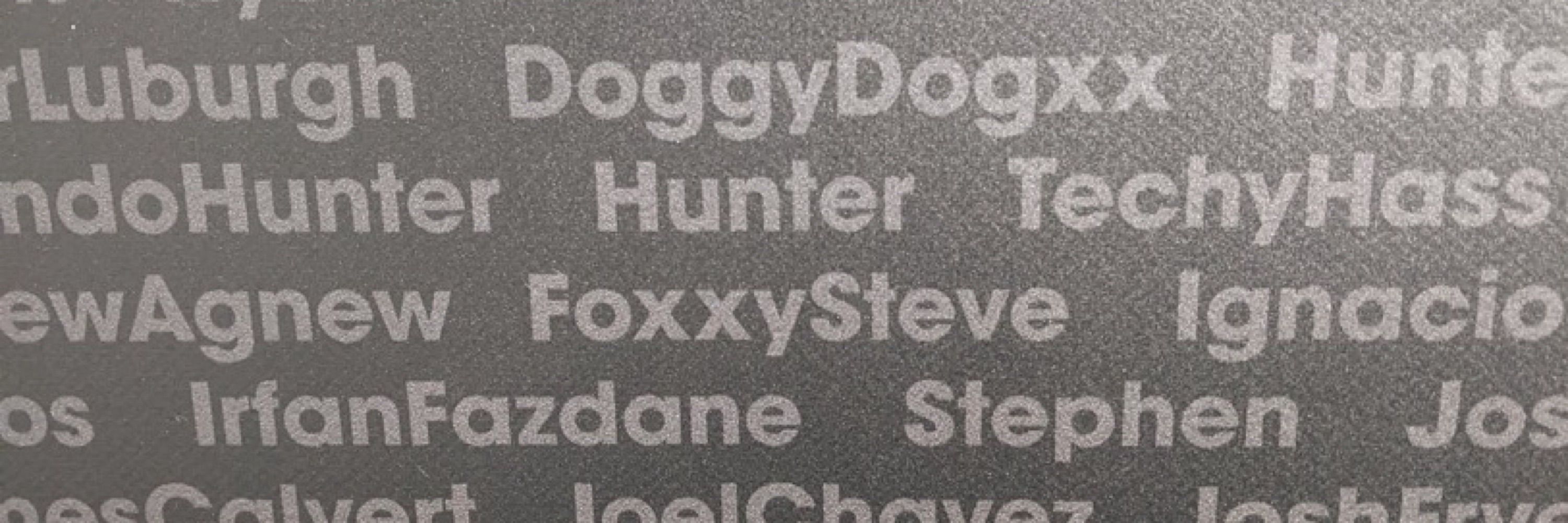 Foxxy Steve