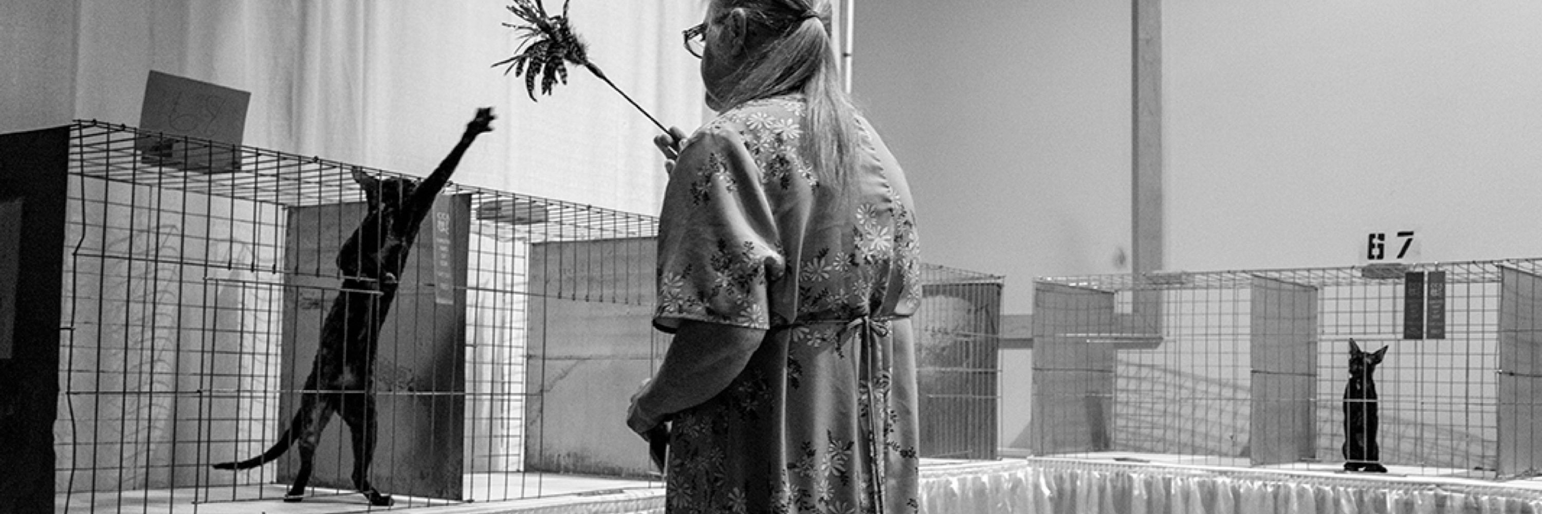 Kristan Klimczak