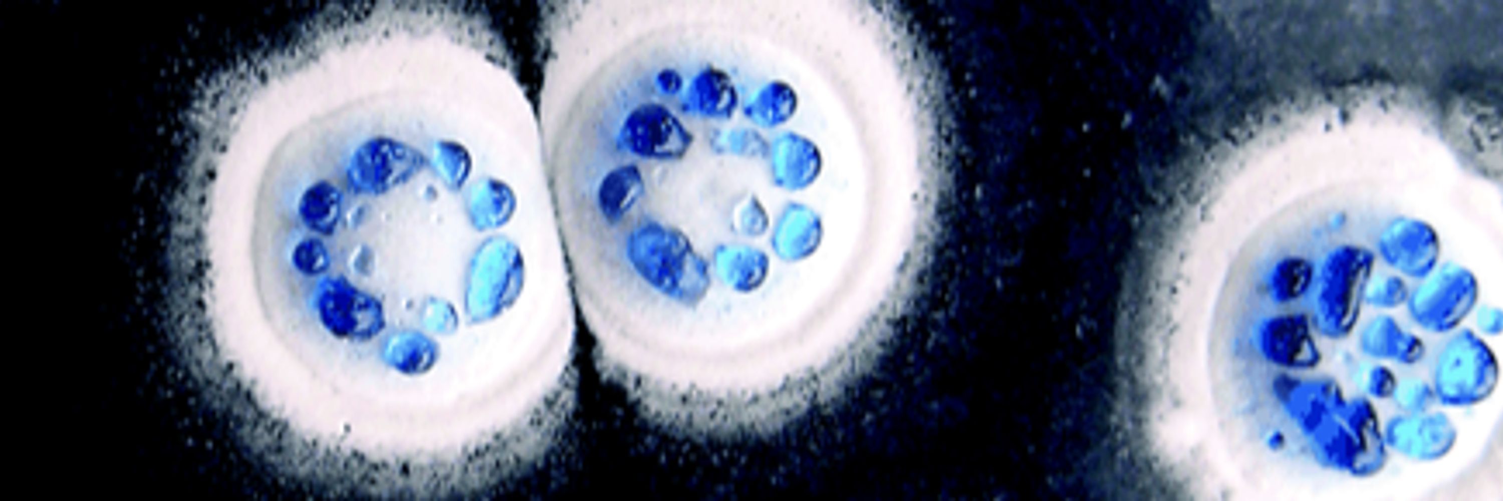HBio ISP