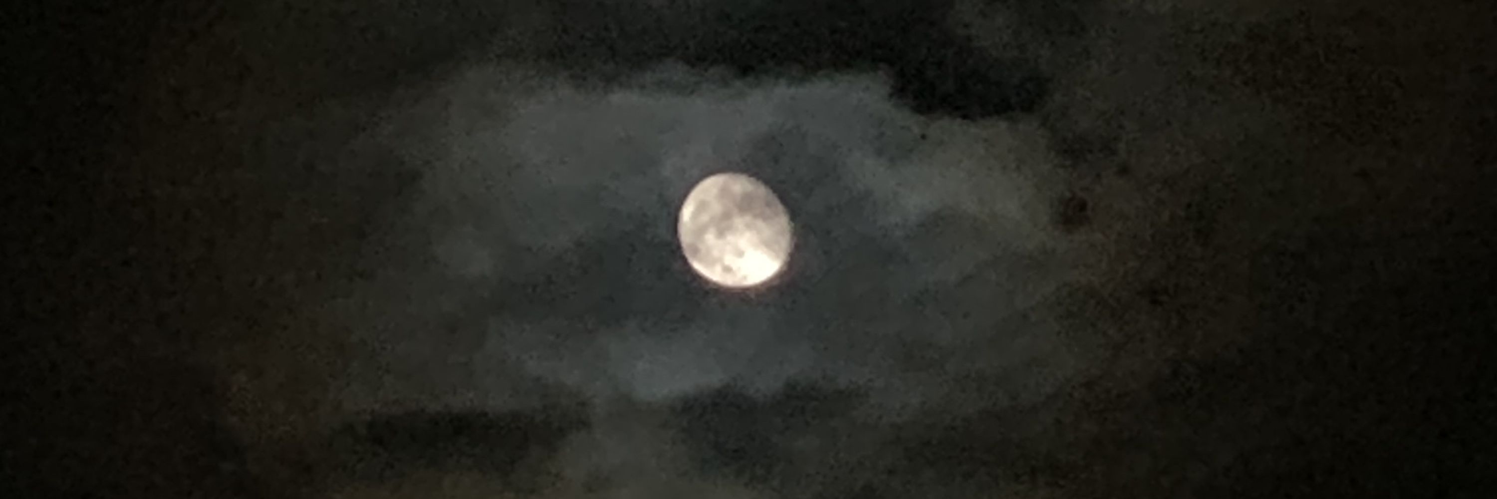 보보