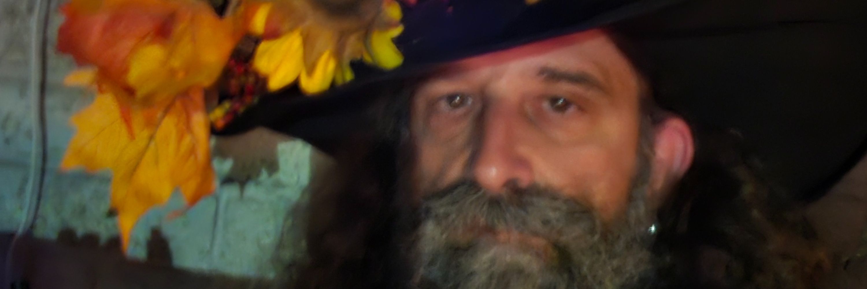 The Fairy King