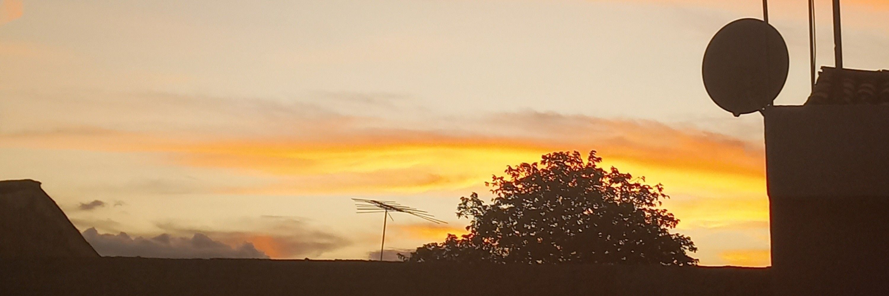 Pão com ovo 