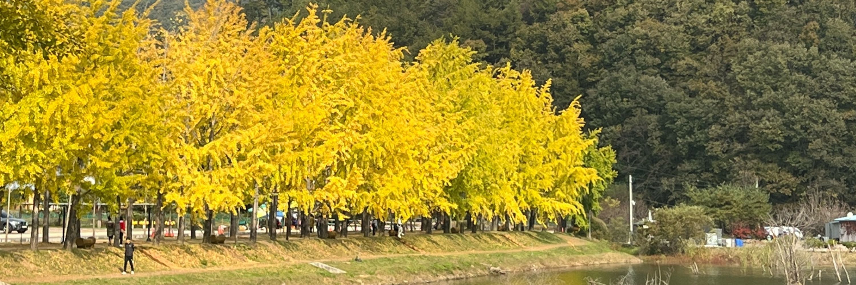 꼬마산