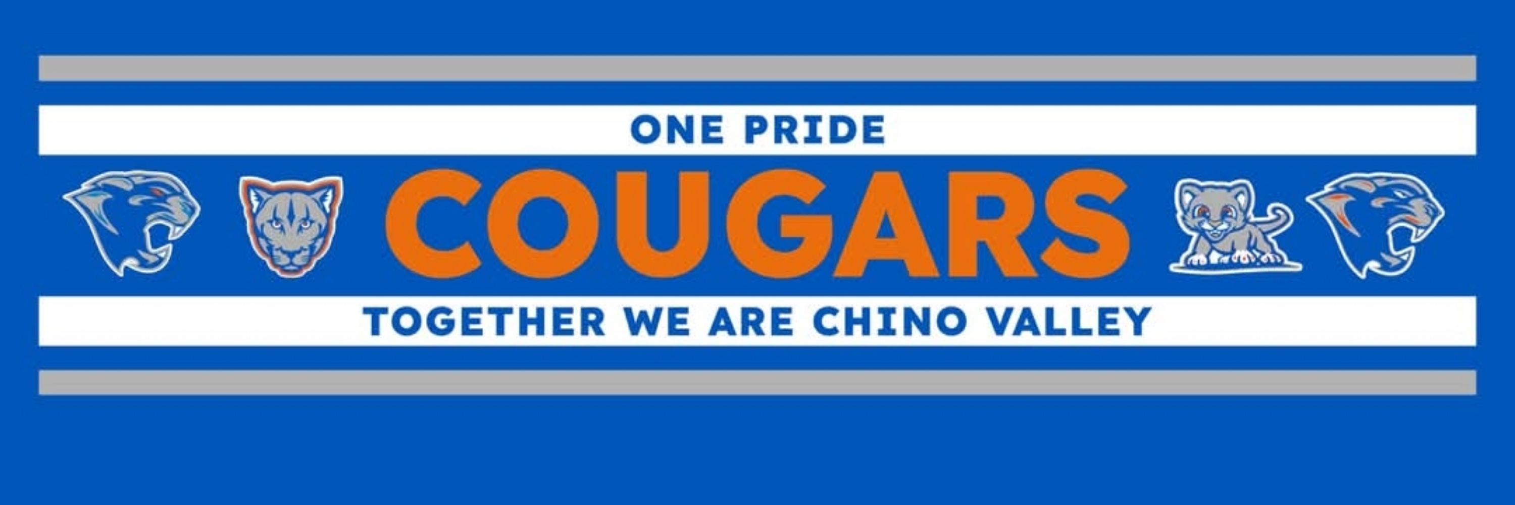 CVSchoolsAZ
