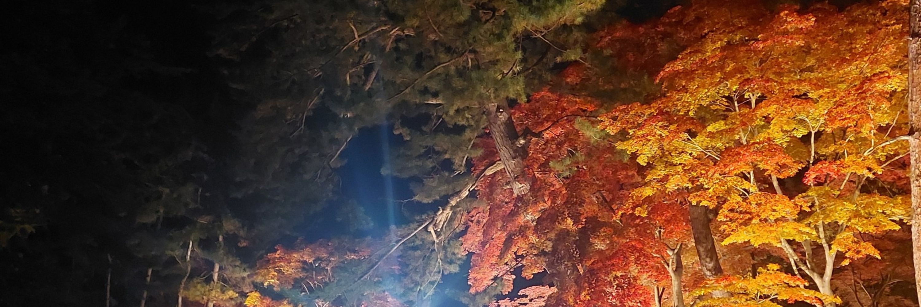 霧咲奏多