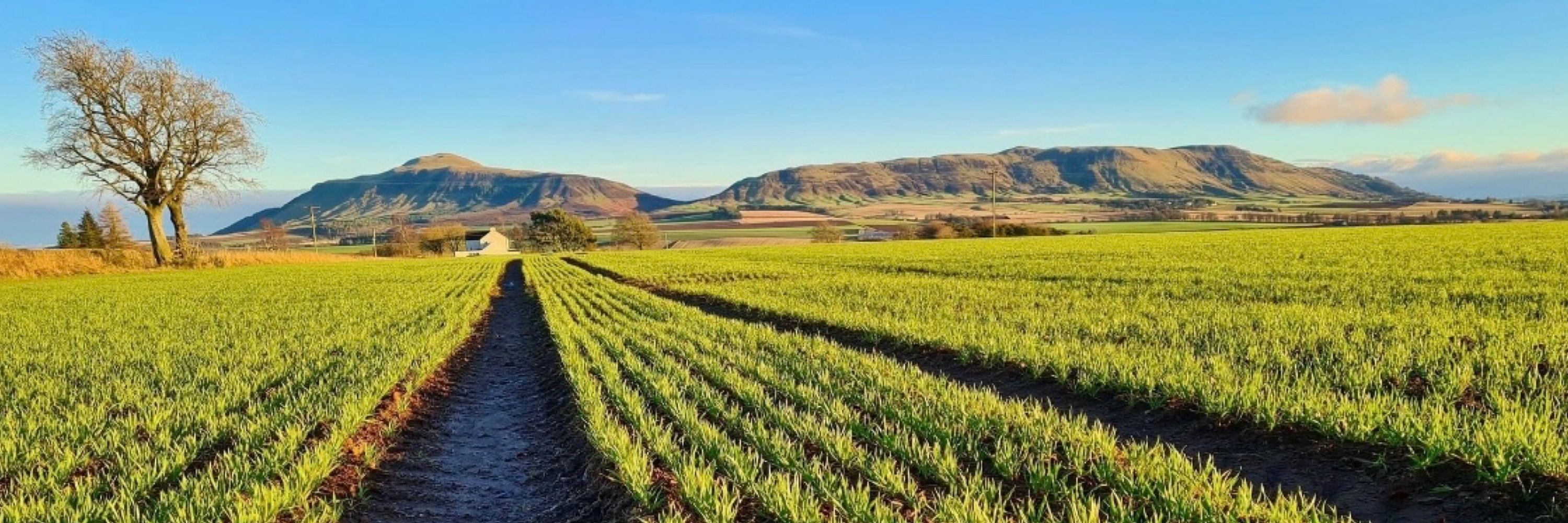 Scottish Agronomy Ltd