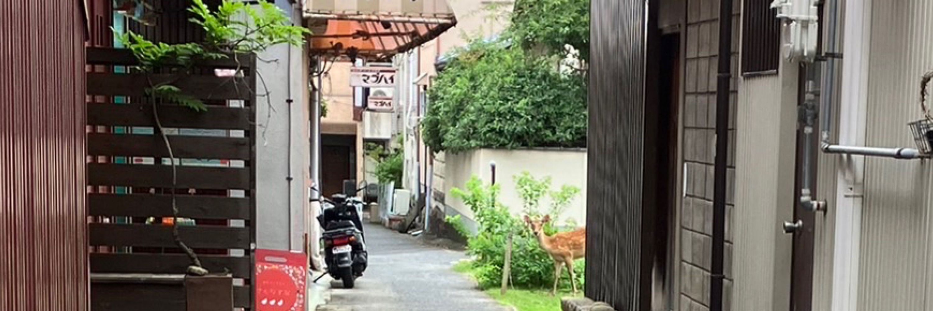 ありる