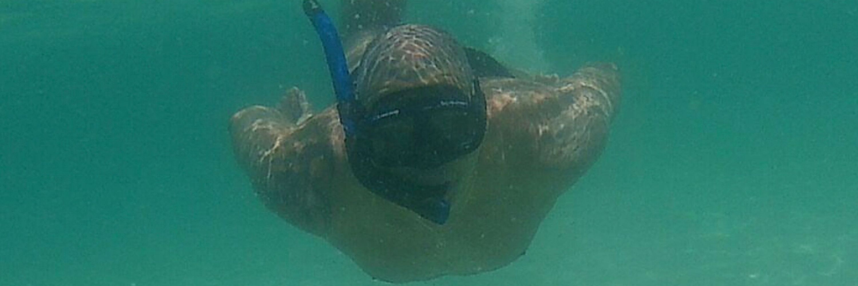 Leo.Souza 