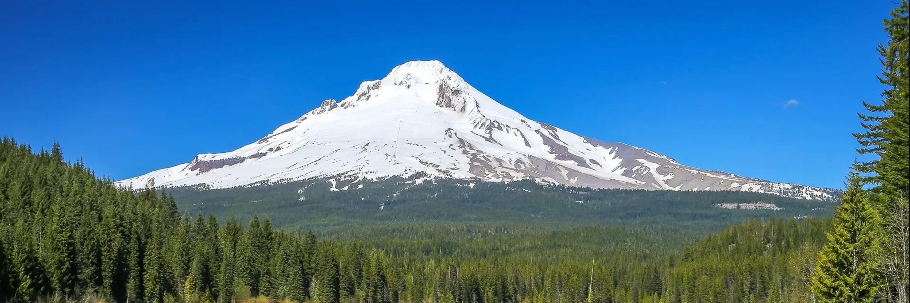 Fawksey Moron - PNW Guy 🦋🇺🇦