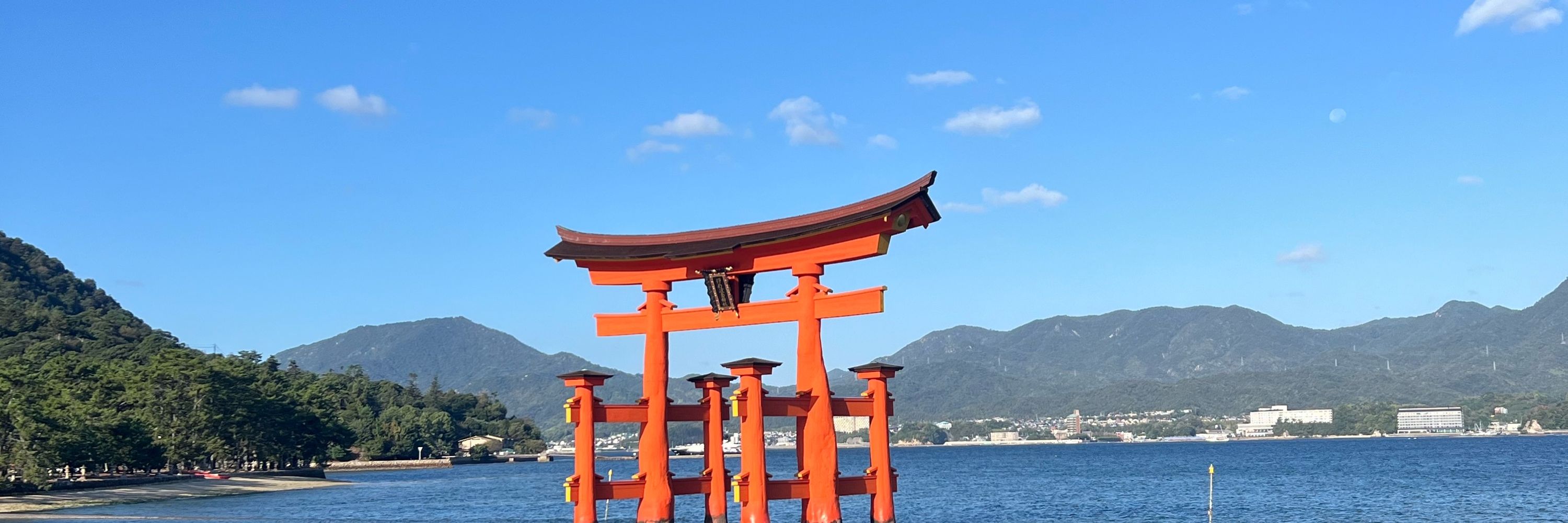 空野