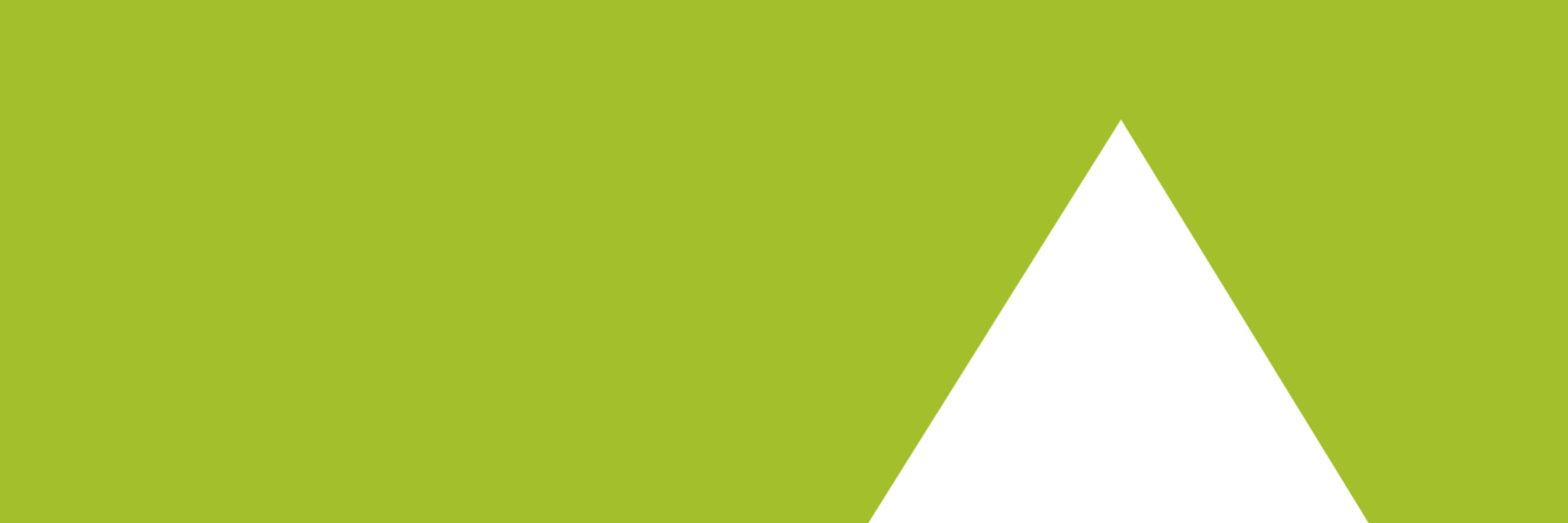 syntevo GmbH