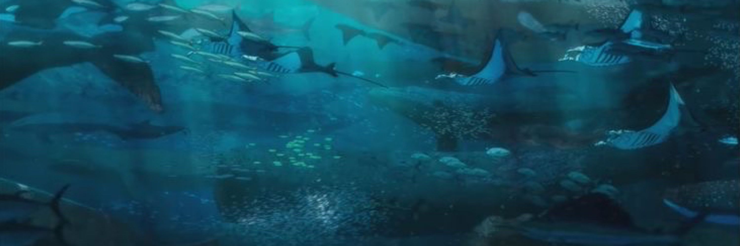 海