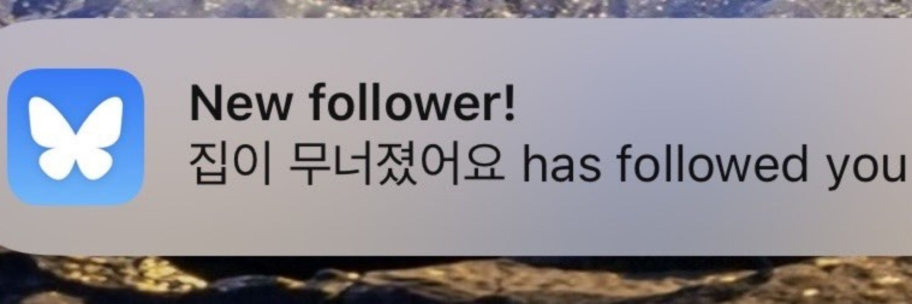 집이 무너졌어요🔒