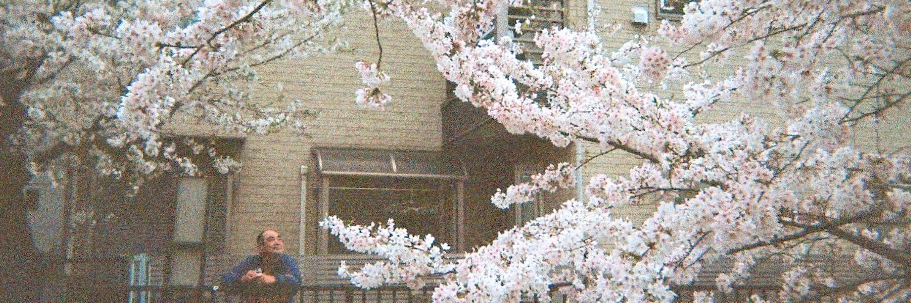 滝藪 下人