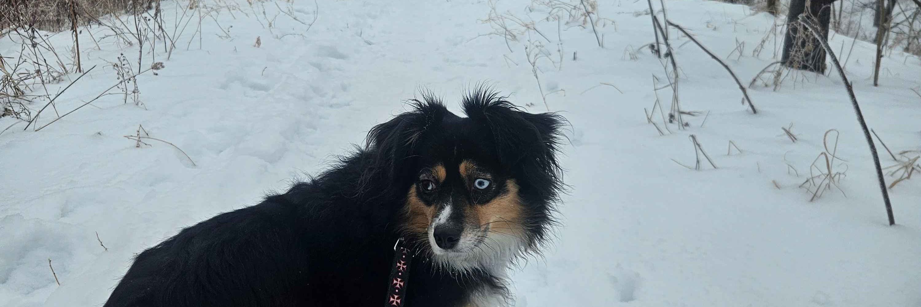 Mimi Y.