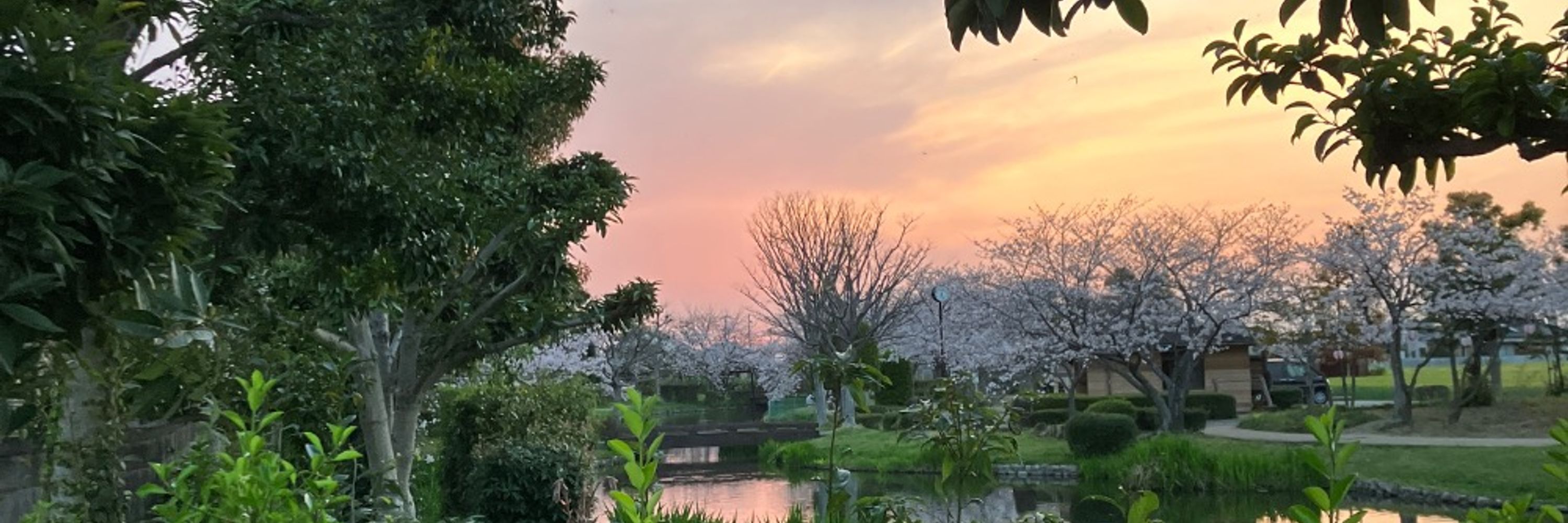 明日希